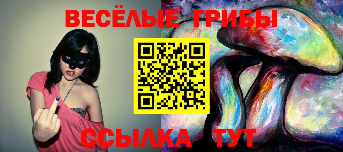 Псилоцибиновые грибы Magic Shrooms  Галлюциногенные грибы GOLDEN TEACHER  Вход с VPN  Богданович 